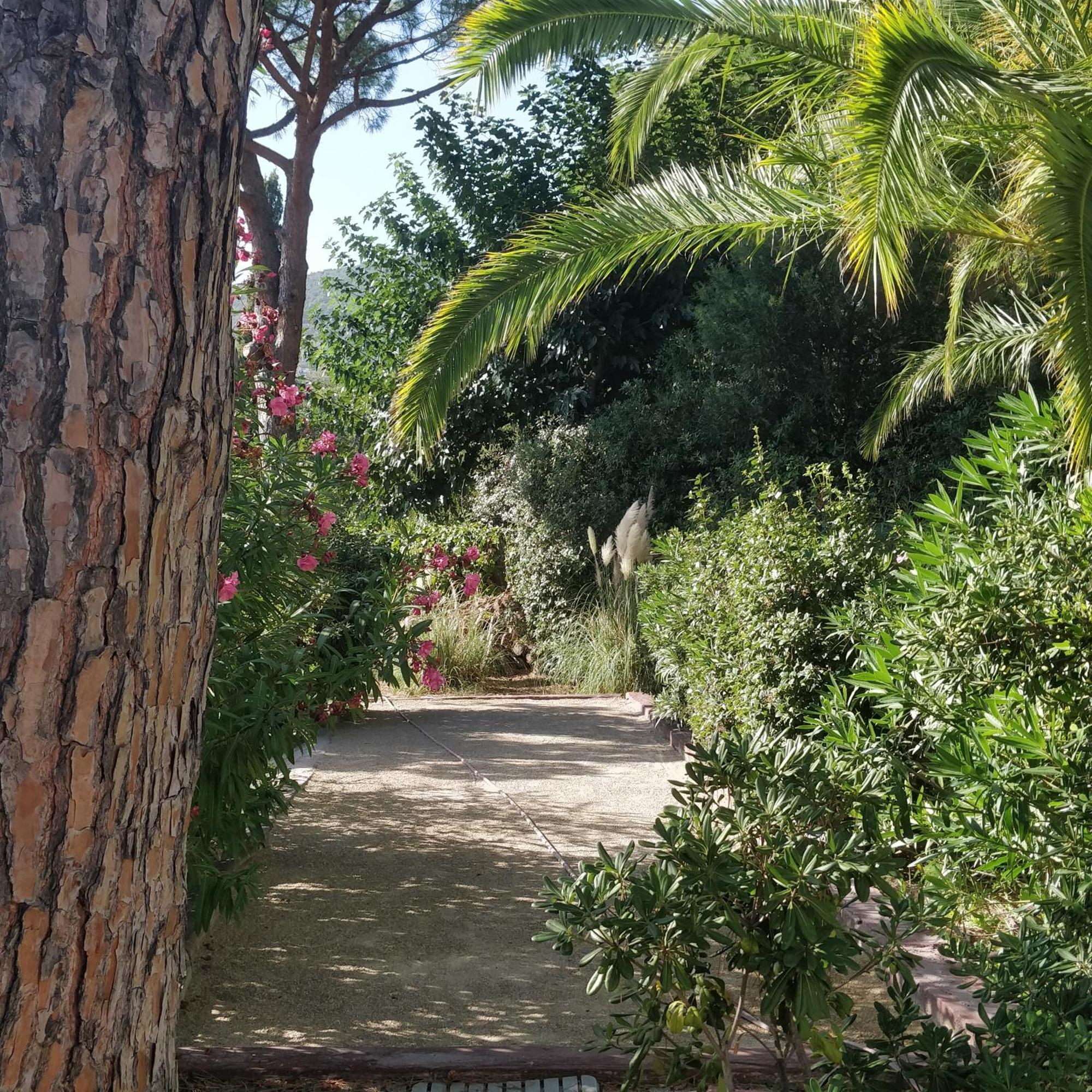Hotel La Beluga Sainte-Maxime Exteriér fotografie
